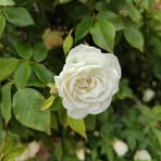 Ingrid Jackson - Facebook