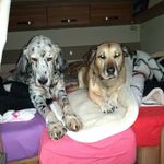 Ingrid Keller - @ingridkeller73 - Instagram