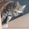 ingridkeller22 - @ingridkeller22 - TikTok