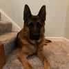 Ingrid_knapp - @ingrid_knapp - TikTok