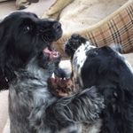 Ingrid Knapp - @ingridknapp9578 - Instagram