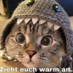 Ingrid Knapp - @ingridknapp64 - Instagram