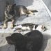 Ingrid Knapp - Facebook
