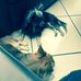 Ingrid Knapp - Facebook