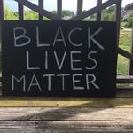 Ingrid Knapp - @peacetoalllivingbeings - Instagram