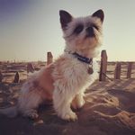Ingrid De Kramer - @ingrid.kramer.5 - Instagram