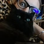 Ingrid Larson - @enchantedstringsak - Instagram