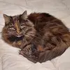 Ingrid Leonard - @ingrid.leonard - TikTok