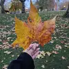 Ingrid/ London - @ingrid.london - TikTok