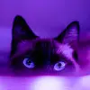 INGRID MAYO - @ingrid.mayo2 - TikTok