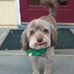 Ingrid Mcdonough - Facebook