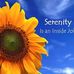 Ingrid Montgomery - Facebook