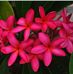 Ingrid Newman - Facebook