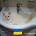 Ingrid Nyman - Facebook
