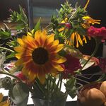 Ingrid Patterson - @ingrid.5144 - Instagram