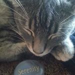 Ingrid Reid - @ingridreid6747 - Instagram