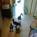 Ingrid Ritter - Facebook