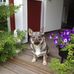 Ingrid Rosenberg - Facebook
