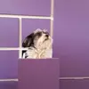 Ingrid Rosenberge725 - @ingridrosenberger66 - TikTok