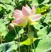 Ingrid Rolland - Facebook