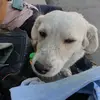 Ingrid Sandoval - @ingrid.sandoval93 - TikTok