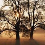 Ingrid Schaefer - @ispfalz - Instagram