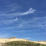 Ingrid Schäfer - @ingrid_schaefer_ - Instagram