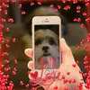 ingridschaefer463 - @codey2022 - TikTok