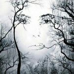 Ingrid Schmitz - @schmitz2763 - Instagram