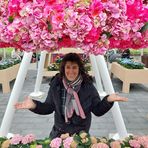 Ingrid Schmitz - Facebook