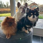 Ingrid Schmitz - @ingridschmitz6220 - Instagram