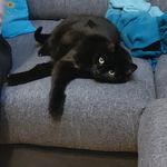 Schorr Ingrid - @schorringrid - Instagram