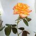 Ingrid Singh - Facebook