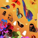 Ingrid Smith - @ingridsmithdesign - Instagram