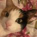 Ingrid Stein - Facebook