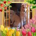 Ingrid Strauß-Schäfer - Facebook