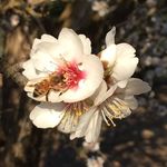 Ingrid Sullivan - @jsull1274 - Instagram