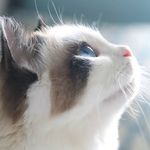 Ingrid Tang - @tjejend1124 - Instagram