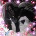 Ingrid Terry - Facebook