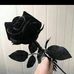 Ingrid Vela - Facebook
