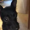Ingrid - @ingrid.villagz - TikTok