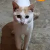 Ingrid Villa - @ingrid.villa85 - TikTok