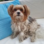 Ingrid Weiss - @beautyface1955 - Instagram