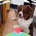 Ingrid Wetzel - Facebook