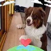 Ingrid Wetzel - @ingrid.wetzel - TikTok