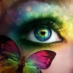 Ingrid Whitaker - Facebook