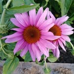 Ingrid Agerbeek Wiener - @agerbeekwiener - Instagram