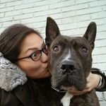 Ingrid Young - @ikybee - Instagram