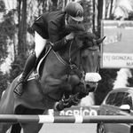 Iñigo Gonzalez Oraindi - @igosporthorses - Instagram