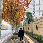 인종 - @injongkim - Instagram